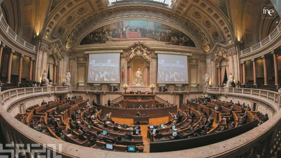 FNE na audição sobre a precariedade de docentes no ensino superior