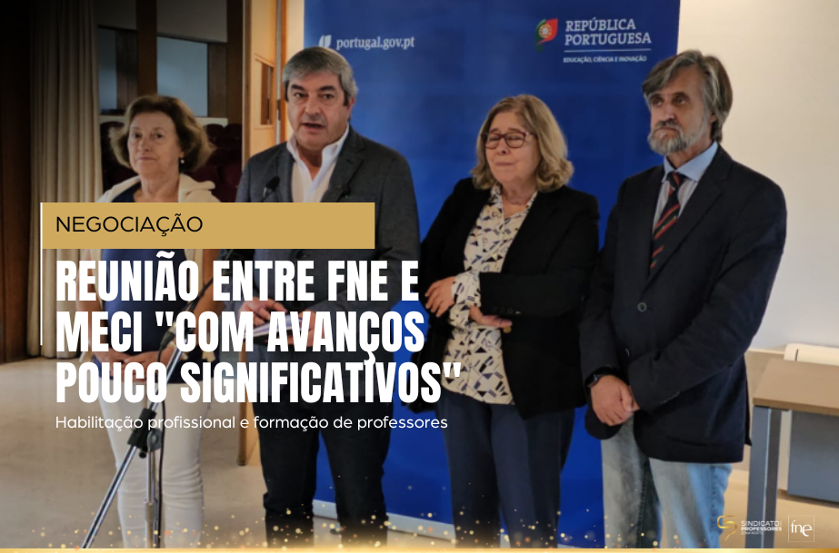 Habilitação profissional e formação de professores - Reunião entre FNE e MECI 