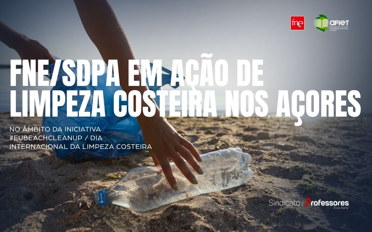 FNE/SDPA em ação de limpeza costeira nos Açores